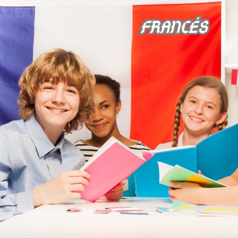 Curso Online Frances Masterclass Online Hotmart, Aprende desde cero idioma Frances